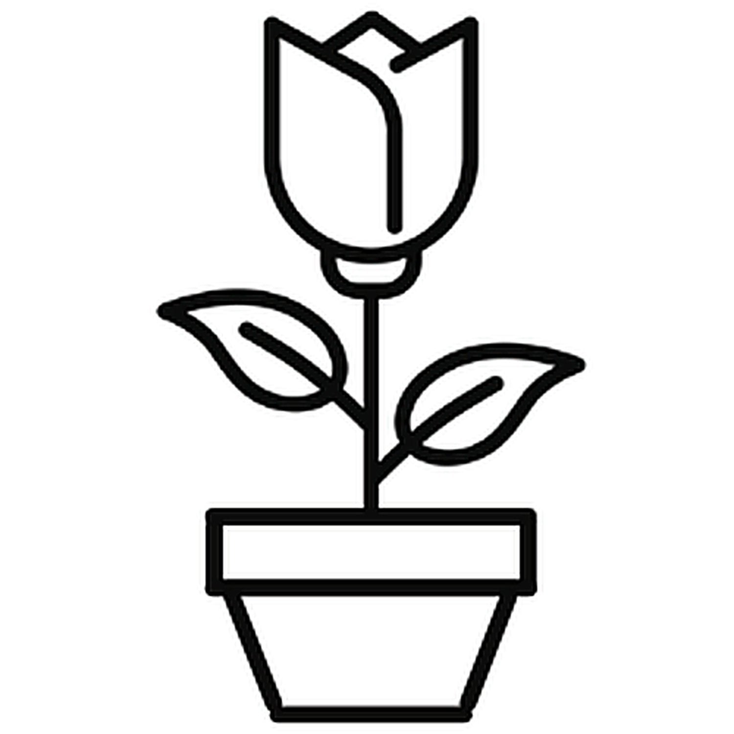 Aparelho de Jantar de Porcelana Canyon Branco 20 peças – Dimora Mediterranea