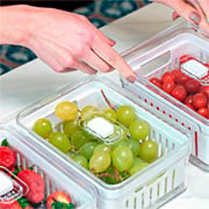 Borrifador Multiuso Flow Transparente 09x06 cm – Dimora Mediterranea